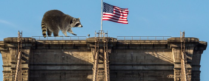 Brooklyn-Bridge_edited